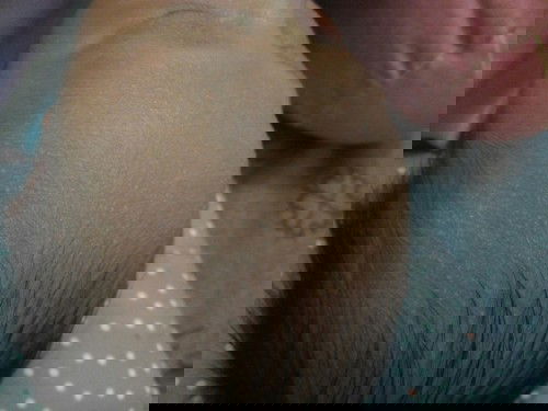 Biang keringat/sarap