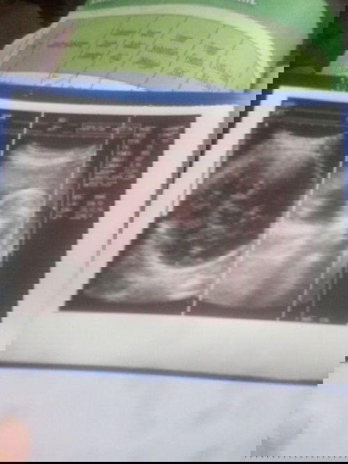 Penasaran sama jk debay