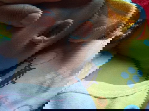 Bengkak di bawah telinga