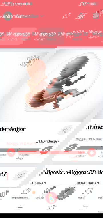 Menunggu gelombang cinta