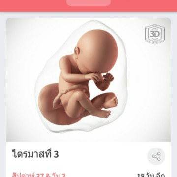 ธีม พ.ย ไปถึงไหนกันแล้วค่ะ