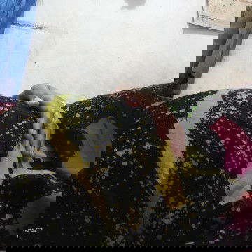 omongan tetangga yang ngatain perutku kecil