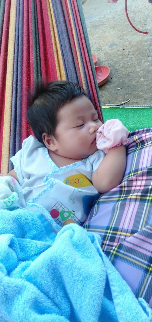 Post reply image