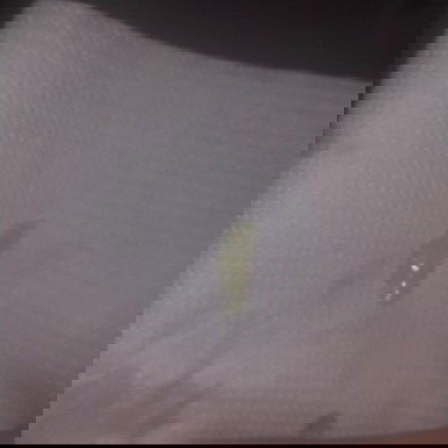 พอดีว่าอยากรุ้ว่ามัรฃนคืออะไร