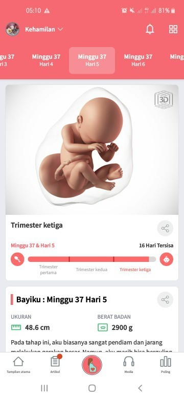 Kehamilan pertama
