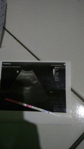 Saya ingin bertanya