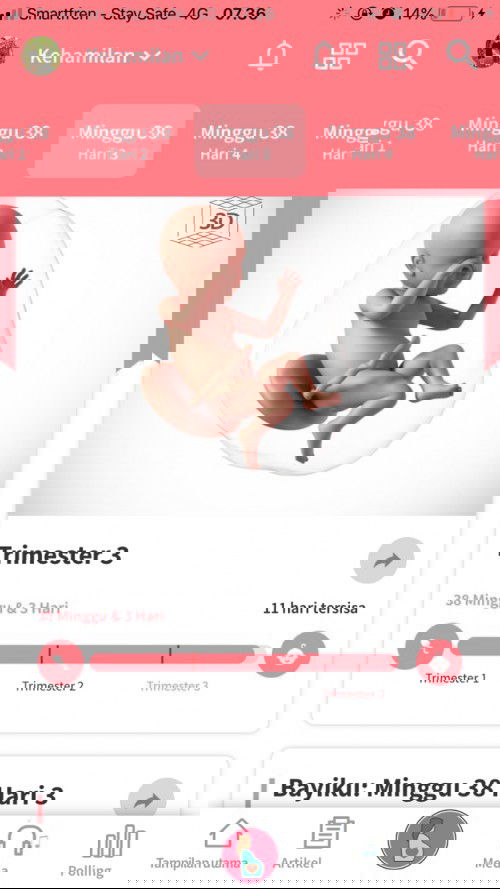 Menunggu gelombang cinta