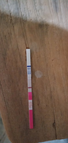 ตรวจแล้วน่ะ