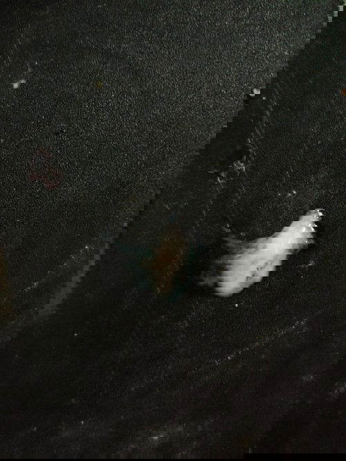 ปกติไหมค้ะ