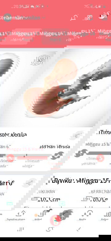 Perut menonjol sebelah hamil 15 week 6 day