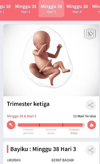 minta doa nya bun biar cepet launching