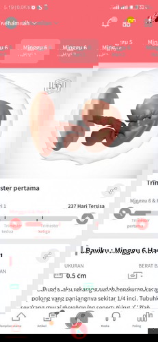 Permisi bun,saya hamil 6 minggu anak pertama. Kpn ya boleh mnum susu ibu hamil??pada usia brp bulan?