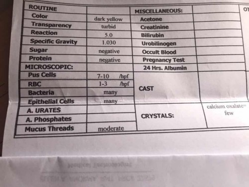 Urinalysis Result