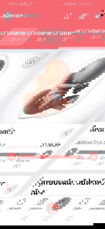 ทีม​ พ.ย​ ตอนนี้แม่ๆมีอาการยังไงกันบ้างค่ะ​ ทางนี้รู้สึกปวดหน่วงๆนอนไม่หลับขยับก็ลำบากไปหมดเลยค่ะ​