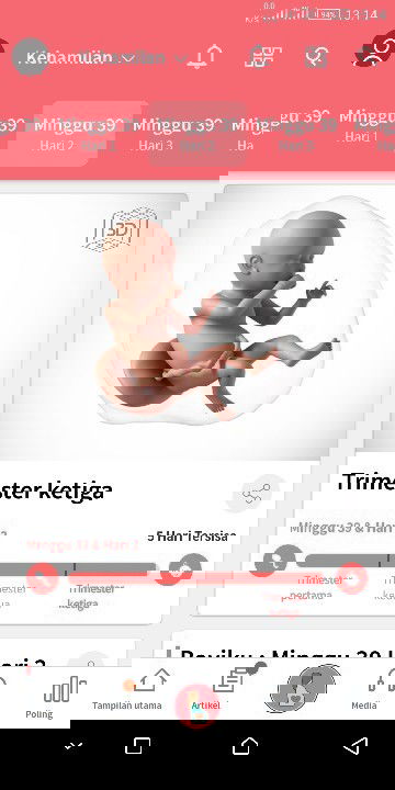 hpl tap tinggal nunggu hari ,hpl bidan 7 november ,hpl usg kelewat 1 hari