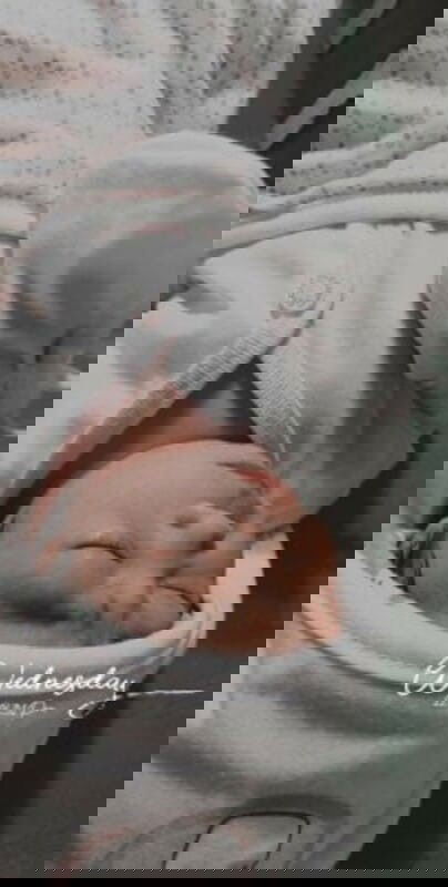 Our Precious Princess