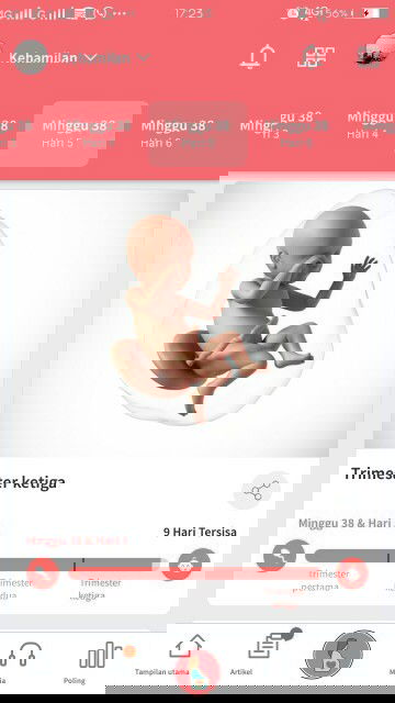 Menunggu gelombang cinta dabay