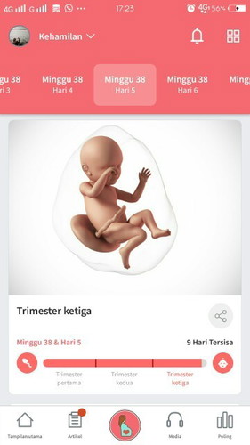 Menunggu gelombang cinta dabay