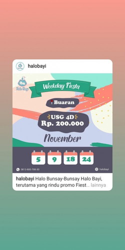 Halobayi atau halobumil