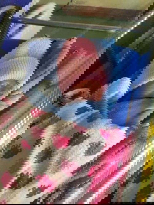 ด.ญ.ภคพร  วิมล น้องพรีม