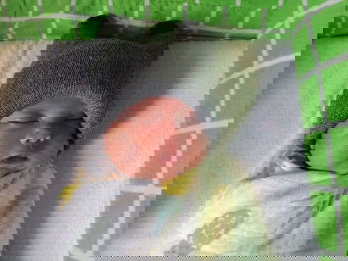 1 month and 13days/Baby Boy