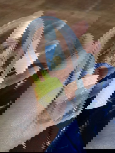 ลูกมีน้ำมูล