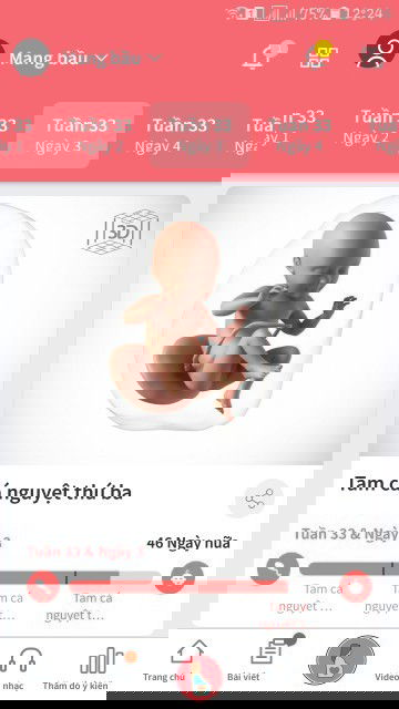 Hoang mang thật ạ