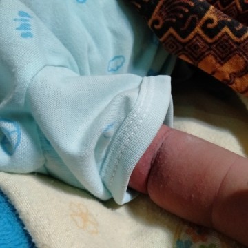seputar baby