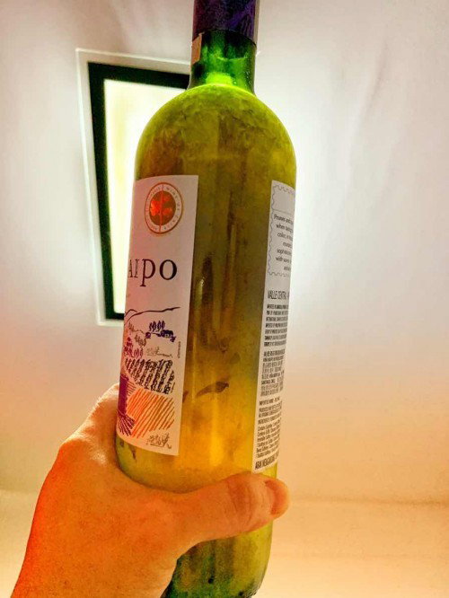 Kombucha F2