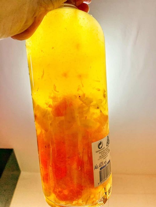 Kombucha F2