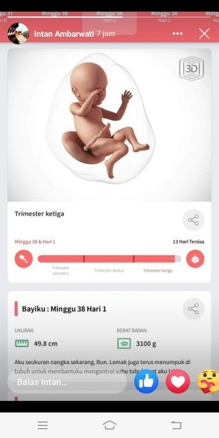 Kehamilan 9bln