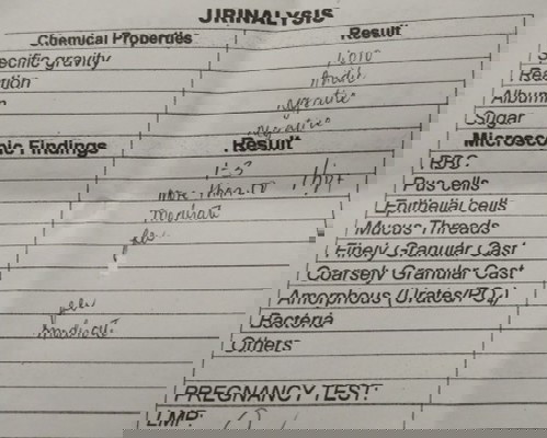 urinalysis result