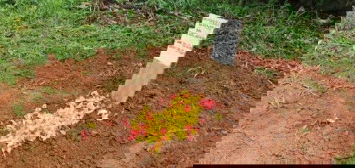 KPD (Ketuban Pecah Dini) usia 21 minggu