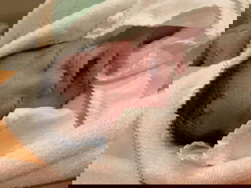 12พย63 คลอดแล้วค่ะ 2พย63