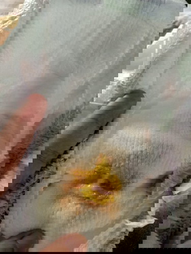 Sensitive image, blurred purposely