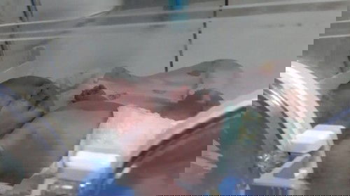 HPL 24 NOVEMBER, LAHIR 1 NOVEMBER. 