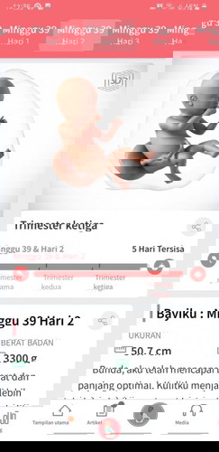 Mendekati HPL