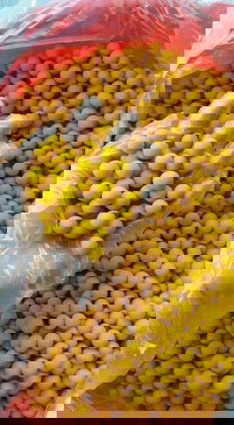 Viên tinh bột nghệ mật ong