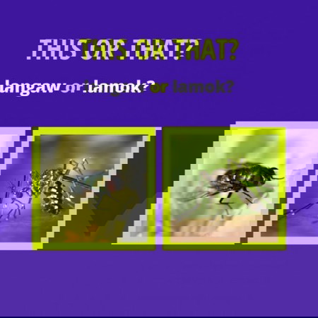 What's more annoying?