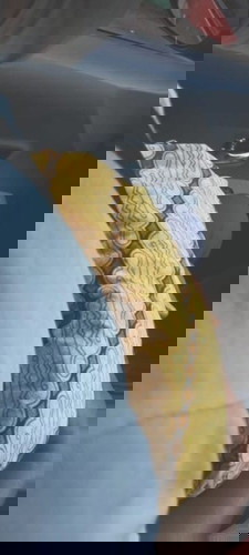 prematur 27minggu 3 hari