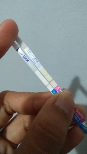 Hasil samar ? Hamil/ tidak ???