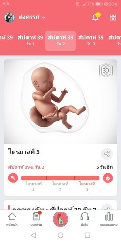 ทีมพฤศจิกายน