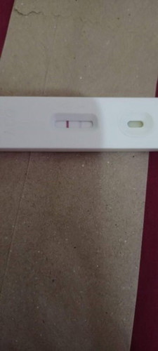 Pregnancy Test