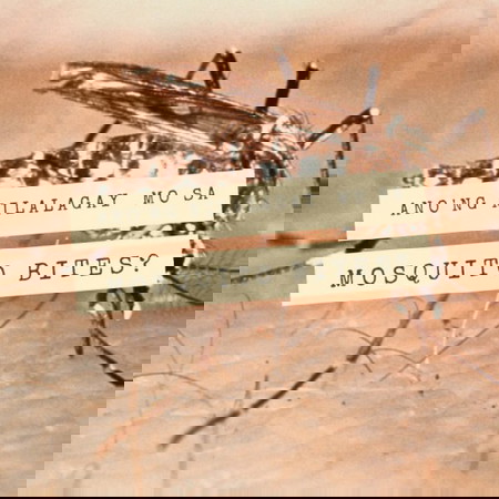 Kapag may kagat ng lamok...