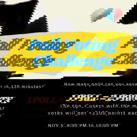 POLL VOTING CHALLENGE!