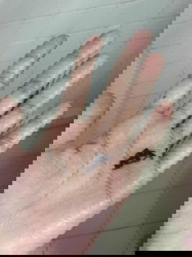 เพื่อนฝากถามมาค่ะ