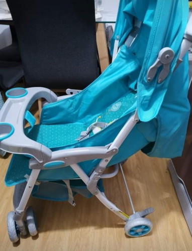 Giant and Carrier Stroller