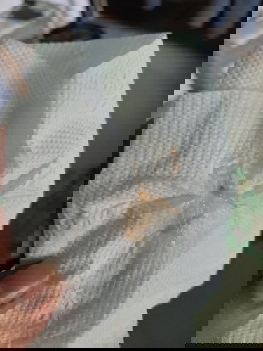 Mucus Plug po ba ito? 40weeks Today