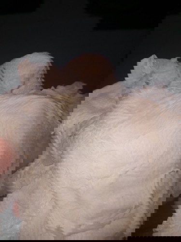 33+1 ค่ะมีน้ำใสๆคุ่นๆแบบนี้ออกมา