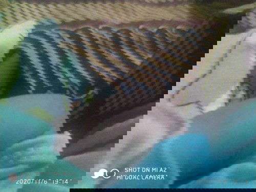 Mohon sarannya each Bun 😊